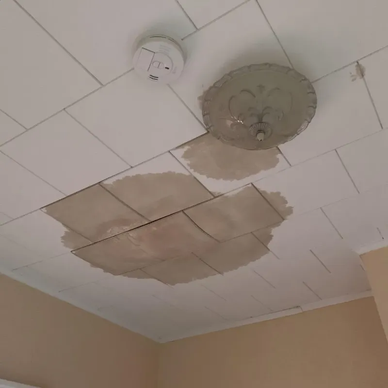Ceiling Water Damage Repair in South Peabody, MA