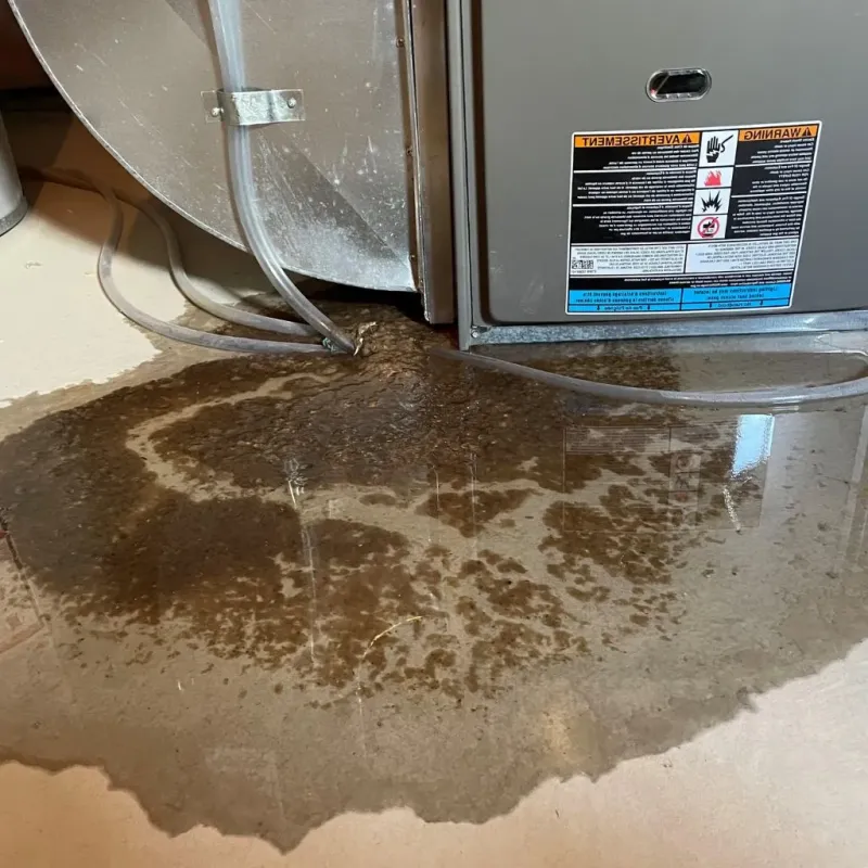 Pipe Burst and Leak Restoration in South Peabody, MA
